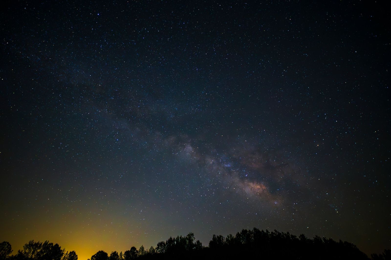 The Milky Way over a tree line at night